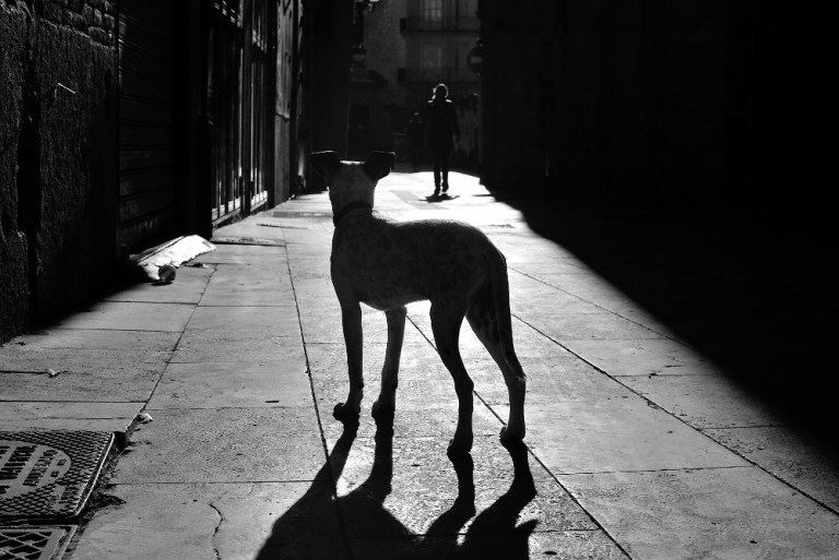 tumblr_p049t3q4ek1synm09o1_1280