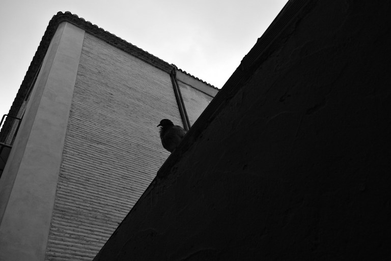 tumblr_ph1cisH5W31synm09o1_1280